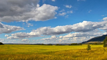 Фотография к новости: ШҚО әкімдігі Қытай инвесторларына жер сатылатынын жоққа шығарды
