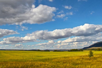 Фотография к новости: ШҚО әкімдігі Қытай инвесторларына жер сатылатынын жоққа шығарды