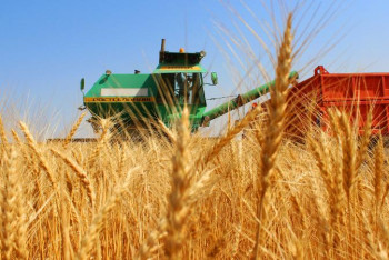 Фотография к новости: Мемлекет ауыл шаруашылығы саласына барлық жағдай жасап отыр – Нығматулин