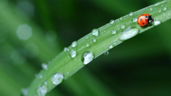 Фотография к новости: Жексенбіде Қазақстанның басым бөлігінде тұрақсыз ауа райы сақталады