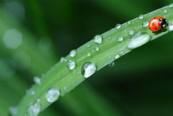 Фотография к новости: Жексенбіде Қазақстанның басым бөлігінде тұрақсыз ауа райы сақталады