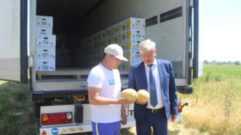 Фотография к новости: Жетісайлық диқандар алғашқы қауындарын экспортқа шығарды 