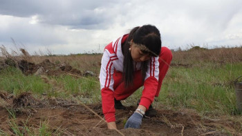 Фотография к новости: Павлодар қаласының айналасына орман ағаштары отырғызылады