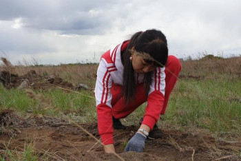 Фотография к новости: Павлодар қаласының айналасына орман ағаштары отырғызылады