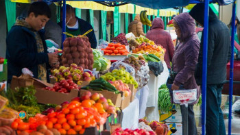Фотография к новости: Алдағы демалыс күндері елордада ауылшаруашылық жәрмеңкесі өтеді