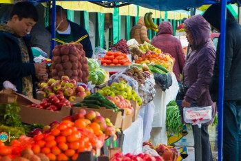 Фотография к новости: Алдағы демалыс күндері елордада ауылшаруашылық жәрмеңкесі өтеді
