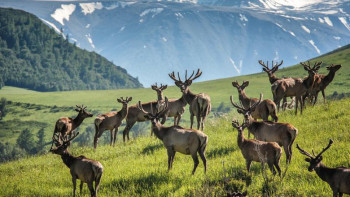 Фотография к новости: ШҚО туристік нысандар саны бойынша елімізде көш бастап тұр
