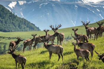 Фотография к новости: ШҚО туристік нысандар саны бойынша елімізде көш бастап тұр