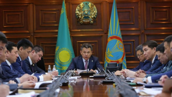 Фотография к новости: Сұлтанов отбасылық кәсіпкерлікті белсенді дамытуды тапсырды 