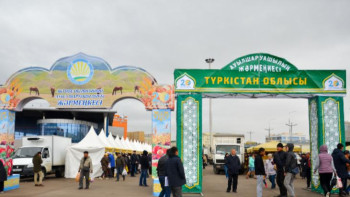 Фотография к новости: Елордаға Түркістан облысының көкөніс өнімдері жеткізіледі 