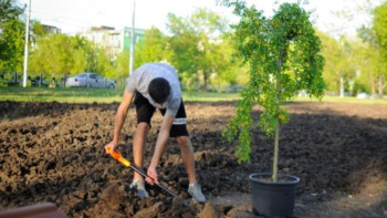 Фотография к новости: Павлодар облысында кәсіпкерлер оқушыларға жұмыс орнын ұсынады