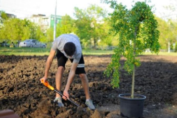 Фотография к новости: Павлодар облысында кәсіпкерлер оқушыларға жұмыс орнын ұсынады