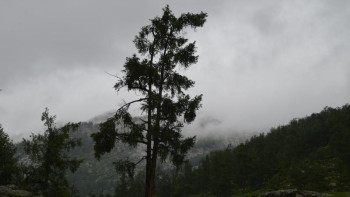 Фотография к новости: Жаздың алғашқы күніне арналған ауа райы болжамы