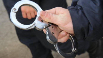 Фотография к новости: Ертаевтың экс-көмекшісі экстрадицияланды