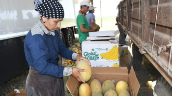 Фотография к новости: Жетісайдың бақша өнімдері экспортталуда