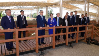 Фотография к новости: Президент «Көне Тараз» археологиялық саябағын аралады