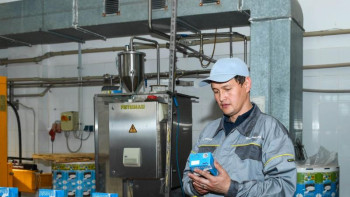 Фотография к новости: Қызылорда облысында сүтті қайта өңдеу өндірісі дамып келеді