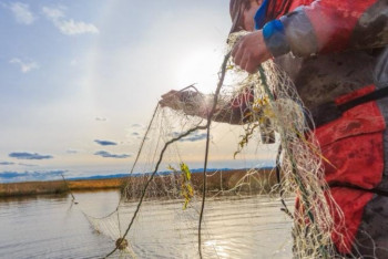 Фотография к новости: Зайсан көлінде тыйым салынған ау құрған браконьер ұсталды 