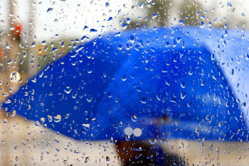 Фотография к новости: Еліміздің басым бөлігінде жаңбыр жауады