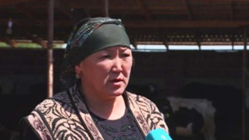 Фотография к новости: «Бастау»: Қызылордада 3 айда 44 жоба қаржыландырылды