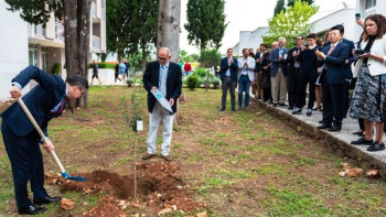 Фотография к новости: Хорватияда «Нұр-Сұлтан» зәйтүн ағашы отырғызылды