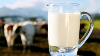 Фотография к новости: ШҚО-да жергілікті сүт өңдеу зауытының өнімдері сатылымға шықты