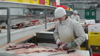 Фотография к новости: Қытайлықтар павлодарлық ет өнімдеріне қызығушылық танытуда