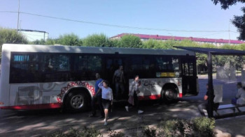 Фотография к новости: Сайлау-2019. Шымкентте қоғамдық көліктер тегін қатынап жатыр