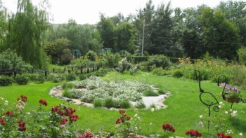 Фотография к новости: Өскеменді гүлдендіру жұмыстары басталды