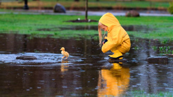 Фотография к новости: Еліміздің басым бөлігінде тұрақсыз ауа райы сақталады