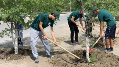 «Жасыл ел» еңбек маусымы басталды