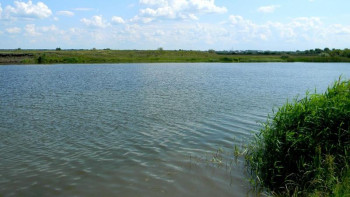 Фотография к новости: Қызылордада «Уылдырық шашу» науқаны аяқталды