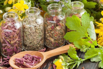 Фотография к новости: Елімізде емдік шөптерден дәрі өндіру жалғасады