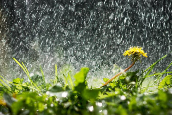 Фотография к новости: Демалыс күндері ауа райы қандай болады?