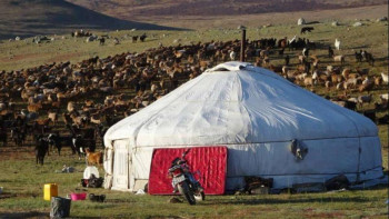 Фотография к новости: Сапарбаев: Шетелде тарихи отанына оралғысы келетін қандастар көп
