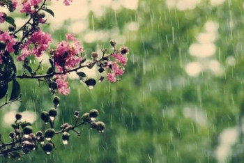 Фотография к новости: 16 маусымға арналған ауа райы болжамы