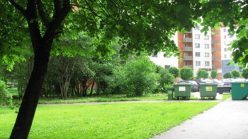 Фотография к новости: Өскеменде көгалдандыру жобасына қосымша көшелер енді