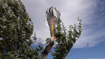 Фотография к новости: Балқашта әуе жыландар фестивалі өтті