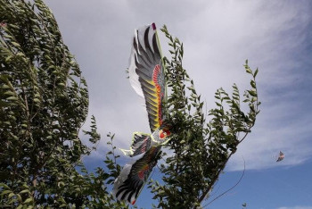 Фотография к новости: Балқашта әуе жыландар фестивалі өтті