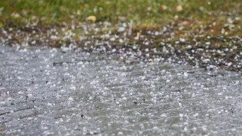 Фотография к новости: Бүгін бұршақ жауып, жел күшейеді