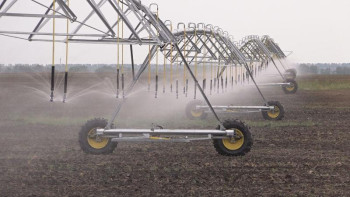 Фотография к новости: Павлодар облысында суырмалы егістік алқаптары 90 мың гектарға жуықтады 