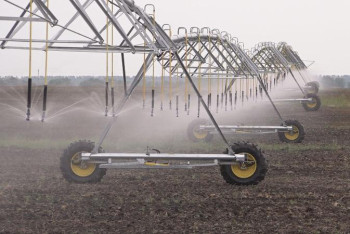 Фотография к новости: Павлодар облысында суырмалы егістік алқаптары 90 мың гектарға жуықтады 