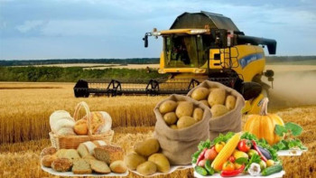 Фотография к новости: Министр неліктен шикізатты өңдеу дамымай отырғанын айтты