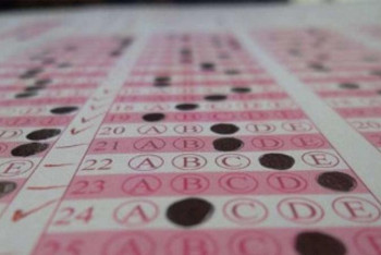 Фотография к новости: Павлодар облысында ҰБТ-ға түлектердің 81,5% қатысады 