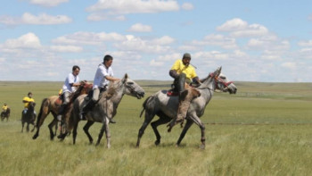 Фотография к новости: «Көкмайса» этнофестиваліне 6000-нан астам қонақ қатысты