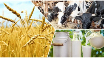 Фотография к новости: Ауыл шаруашылығы өнімдері қай елдерге экспортталады