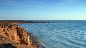 Фотография к новости: Балқашта жағажай туризмі дамуда