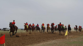 Фотография к новости: Шығыс Қазақстанда 140 шақырымдық ат бәйгесі өтті