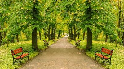 21 маусымда журналистер аллеясы ашылмақ