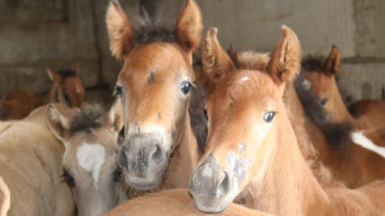 Фотография к новости: Малда қайыр бар
